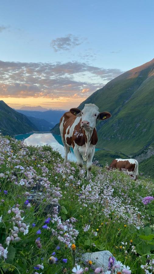 Fuerthermoar Hideaways Kaprun Kültér fotó